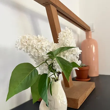 Maison Familiale De Charme Avec Jardin Каркассон