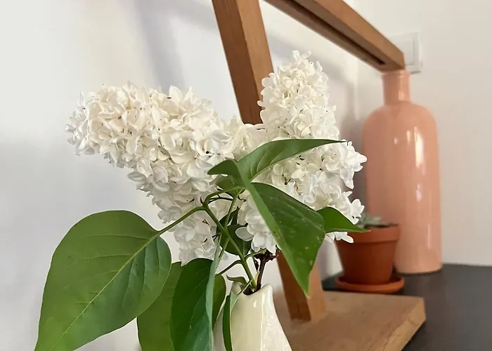 Artistic House قرقشونه